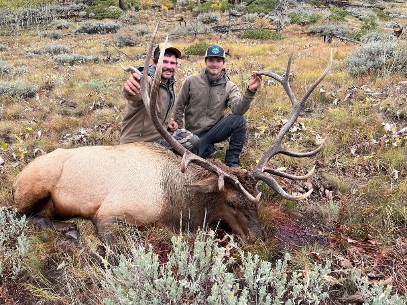 https://www.milehighoutfitters.com/wp-content/uploads/2023/12/ELK-1-scaled.jpg